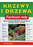 Krzewy i drzewa Fachowe rady