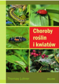 Choroby roślin i kwiatów