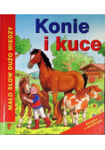 Konie i kuce Książka z okienkami