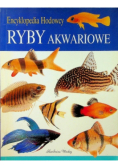 Ściąga z języka polskiego