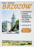 Brzozów i okolice