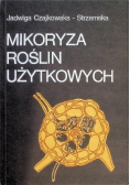 Mikoryza roślin użytkowych