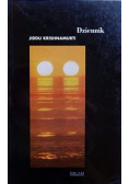 Dziennik