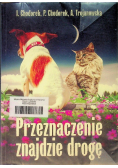 Przeznaczenie znajdzie drogę