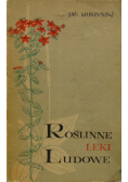 Roślinne leki ludowe