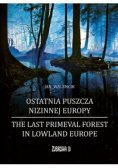 Ostatnia puszcza nizinnej Europy