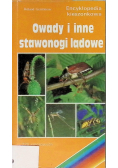 Owady i inne stawonogi lądowe Encyklopedia kieszonkowa