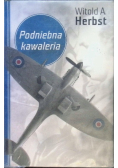 Podniebna kawaleria