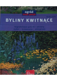 Byliny kwitnące