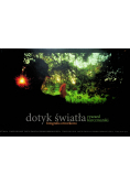 Dotyk światła fotografia otworkowa