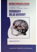 Anatomia prawidłowa człowieka Ośrodkowy układ nerwowy