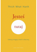 Jesteś tutaj