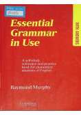 Essential grammar in Use