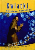 Kwiaty świętego Antoniego
