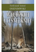 W ludzkiej i leśnej kniei