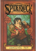 Kroniki Spiderwick Księga 2 Kamienne oko