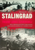 Stalingrad Triumf Armii Czerwonej