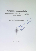 Spojrzenia przez gardinkę