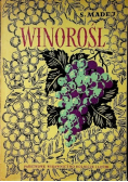 Winorośl