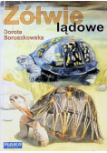 Żółwie lądowe