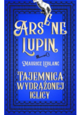 Tajemnica wydrążonej iglicy