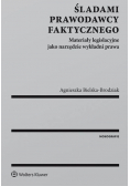 Śladami prawodawcy faktycznego