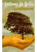 Przebudzenie
