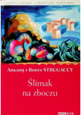 Ślimak na zboczu