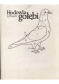 Hodowla gołębi