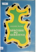 Spacerki po Olsztynie