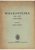 Wielkopolska 1851 - 1914