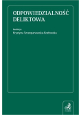 Odpowiedzialność deliktowa