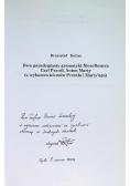 Dwa paradygmaty gramatyki filozoficznej
