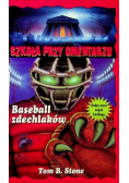 Szkoła przy cmentarzu Baseball zdechlaków