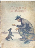 Ciapek włóczęga