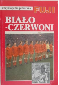 Encyklopedia piłkarska Fuji rocznik 94-95