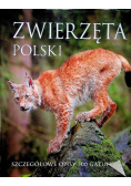 Zwierzęta Polski