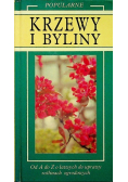 Popularne krzewy i byliny