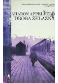 Droga żelazna