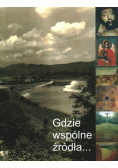 Gdzie Wspólne Źródła Ziemia Sanocka
