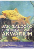 Jak założyć i pielęgnować akwarium