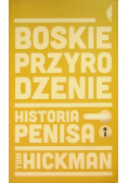 Boskie przyrodzenie