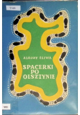 Spacerki po Olsztynie