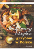 Ilustrowany leksykon grzybów w Polsce