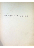 Pierwszy ogień z bojów Karpackich 1916 r.