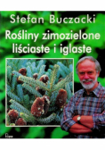 Rośliny zimozielone liściaste i iglaste