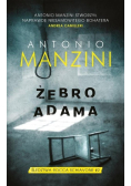 Żebro Adama