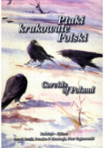 Ptaki krukowate Polski