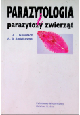 Polubić pszczoły