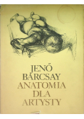 anatomia dla artysty
